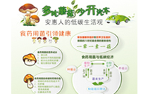 專題報(bào)道