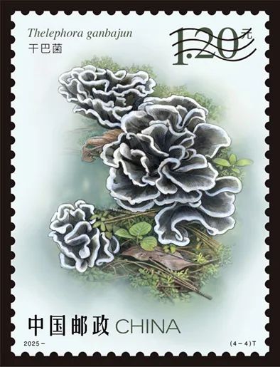 圖片關鍵詞