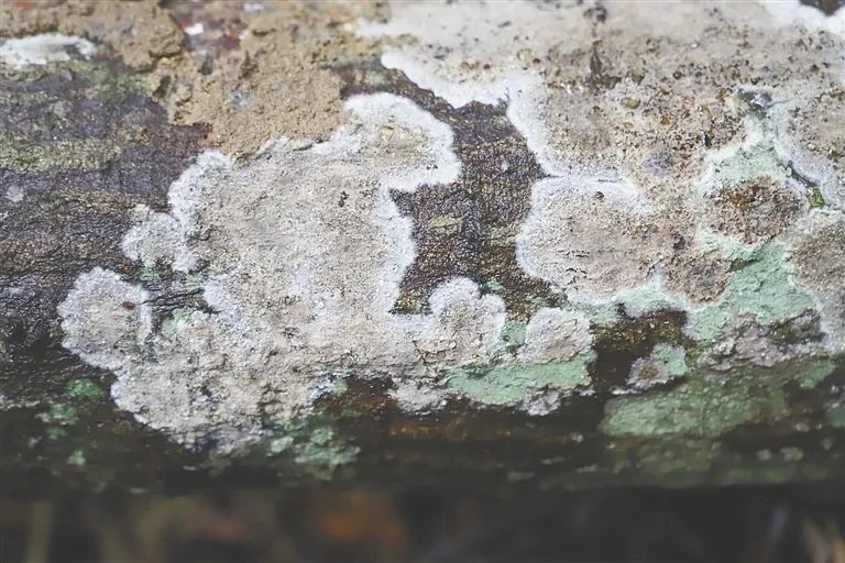 圖片關鍵詞